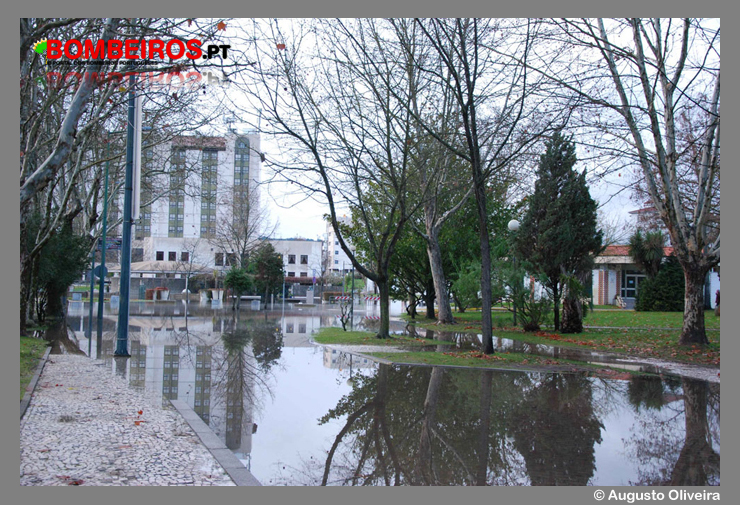 Imagem 15