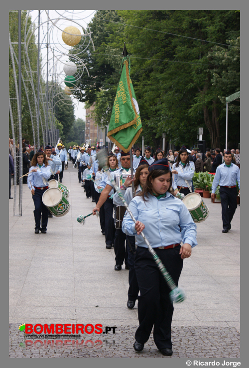 Imagem 11