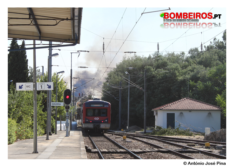 Imagem 142