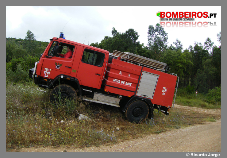 Imagem 13