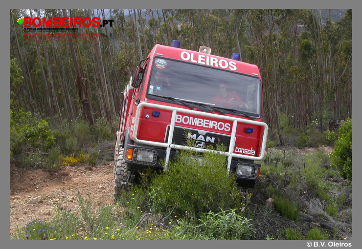 Imagem 11