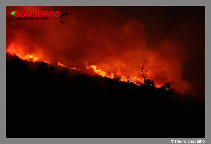Imagem 27