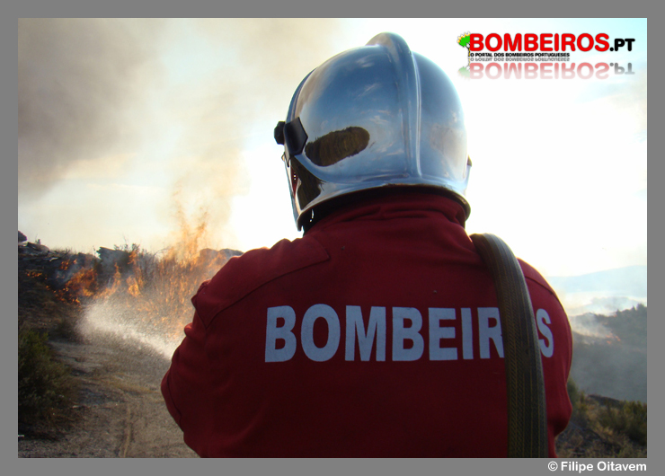 Imagem 41