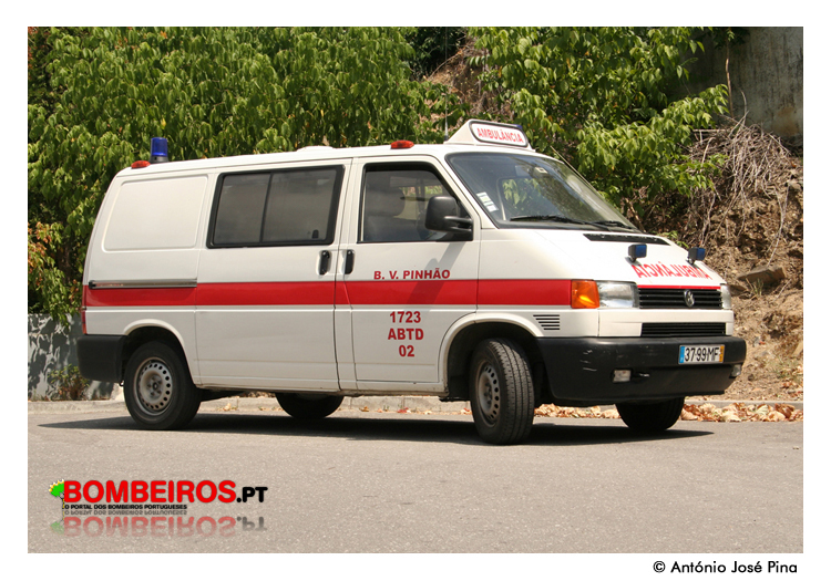 Pinhão - ABTD 02