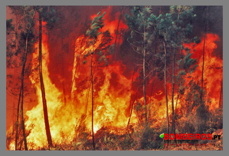 Imagem 108