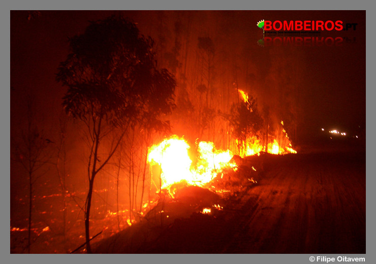 Imagem 580