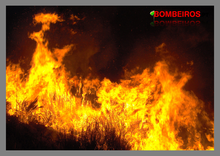 Imagem 750