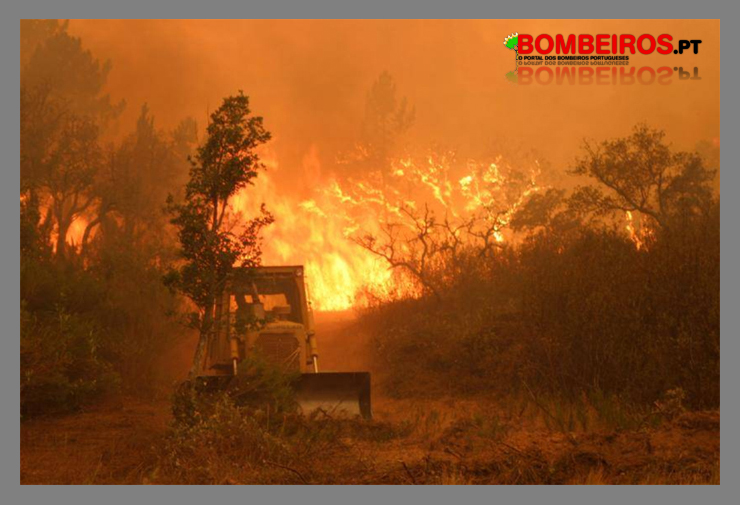Imagem 21