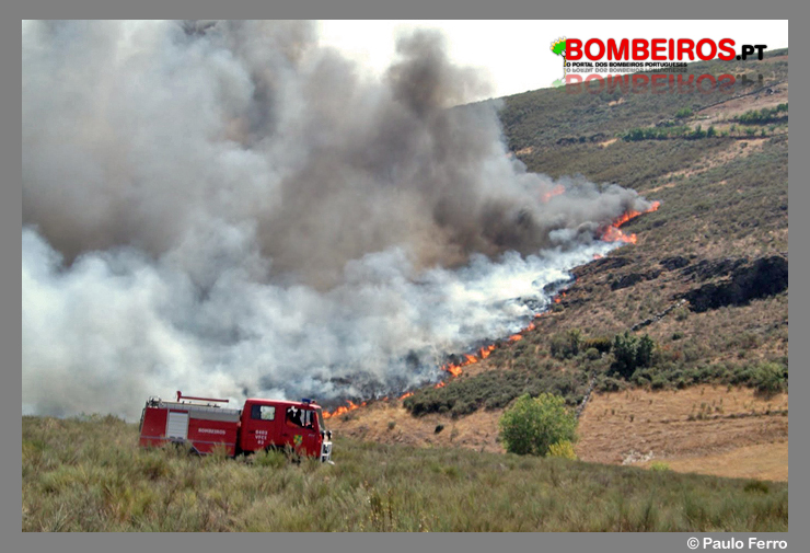 Imagem 08
