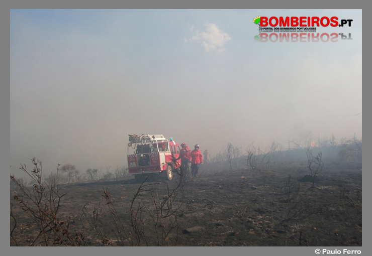 Imagem 13