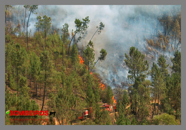 Imagem 12