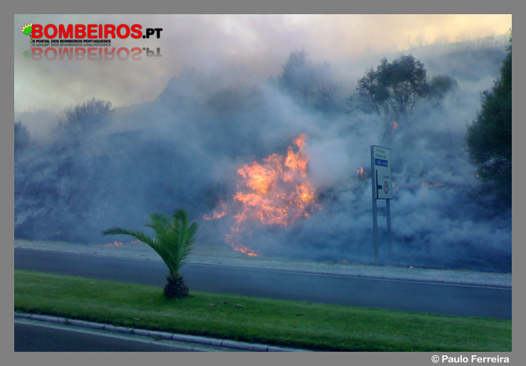 Imagem 49