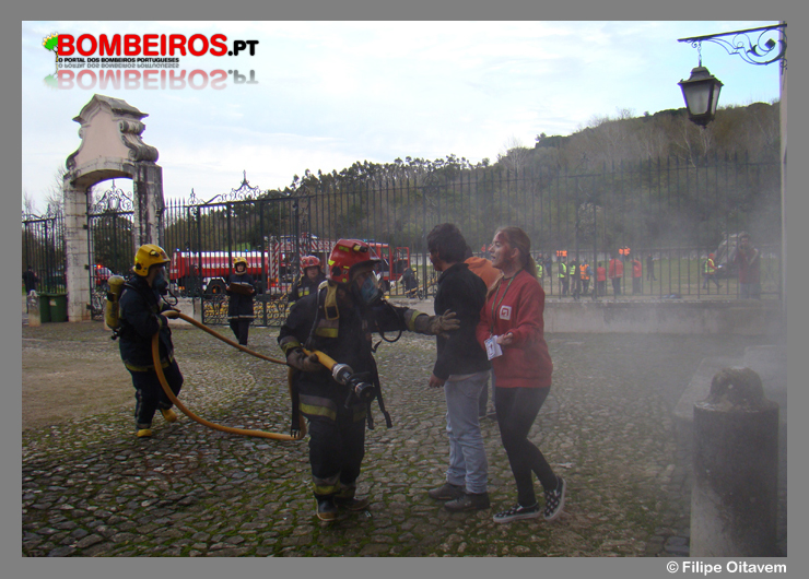 Imagem 04