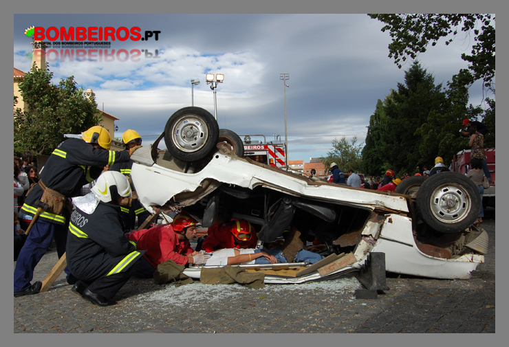 Imagem 15