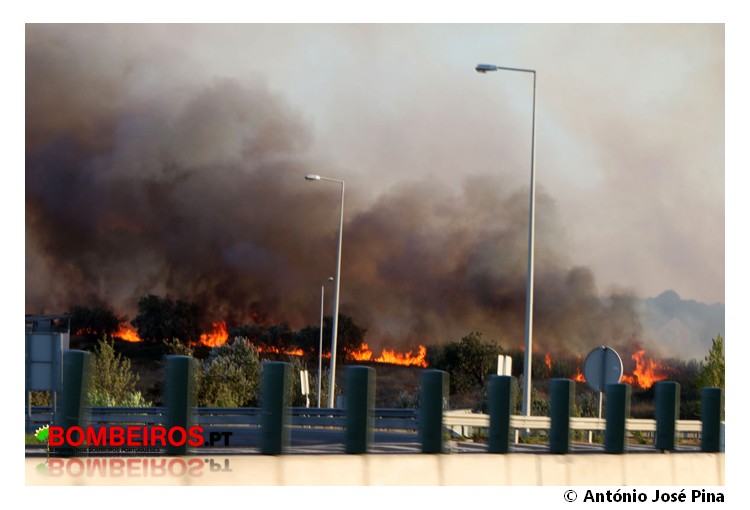 Imagem 01