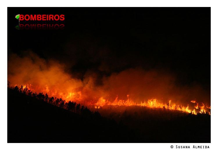 Imagem 23