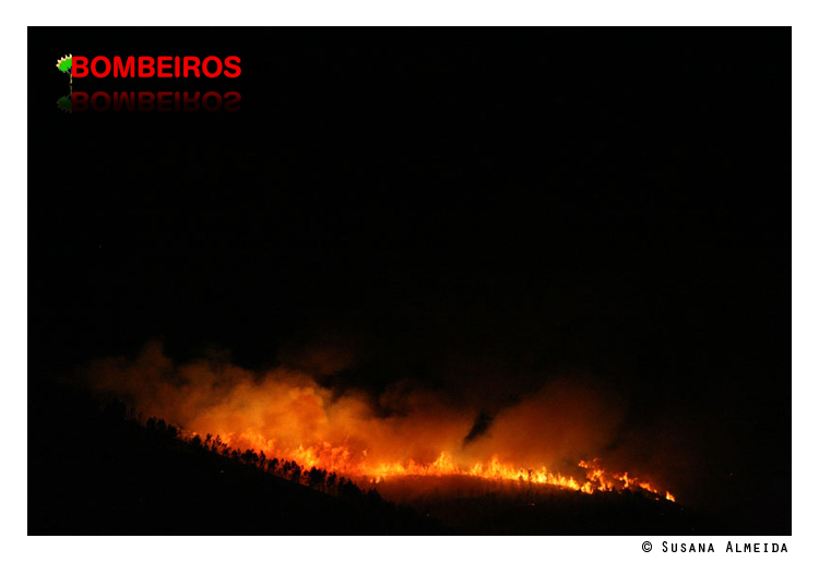 Imagem 24