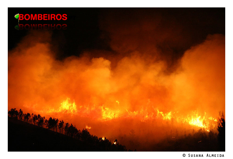 Imagem 28