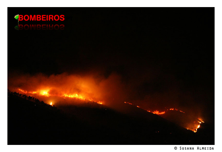Imagem 29