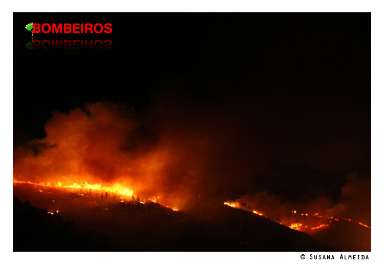 Imagem 30