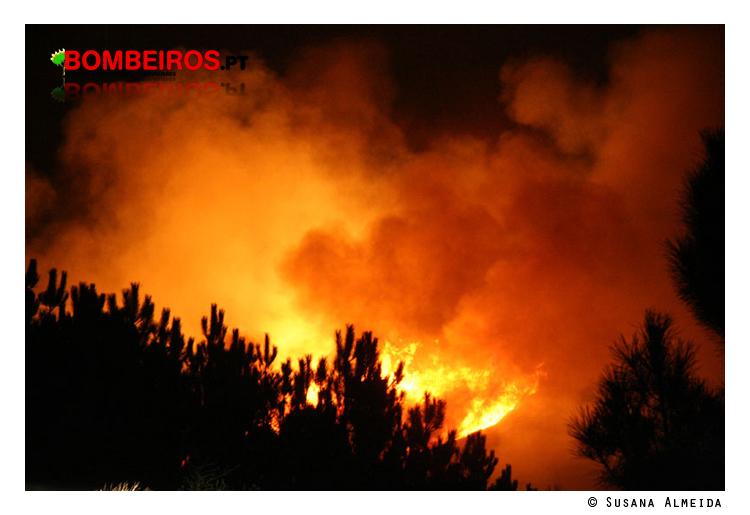 Imagem 33