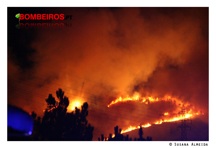 Imagem 35