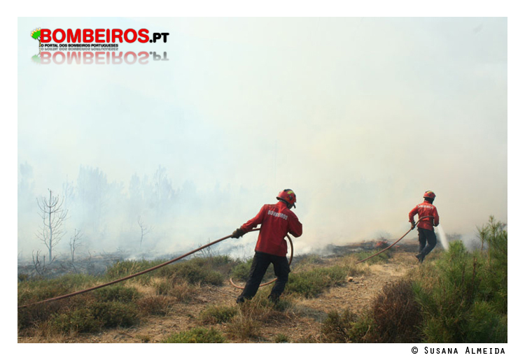 Imagem 66