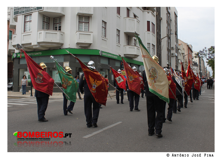 Imagem 12