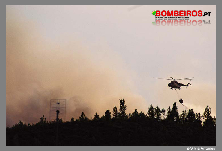 Imagem 05