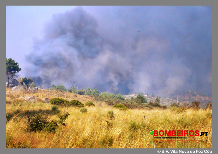 Imagem 11