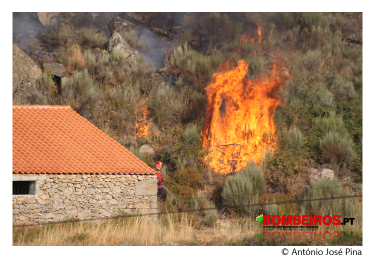 Imagem 08