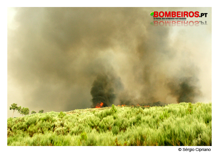 Imagem 13