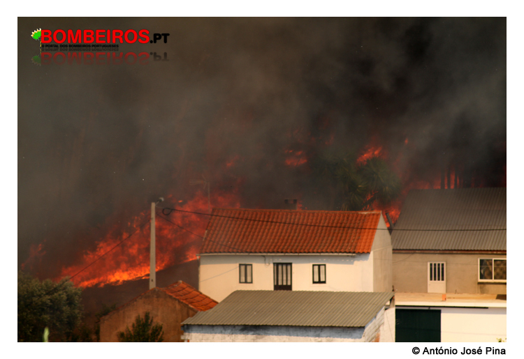 Imagem 201