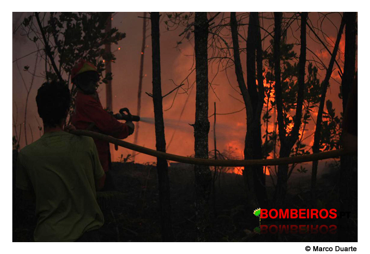Imagem 22
