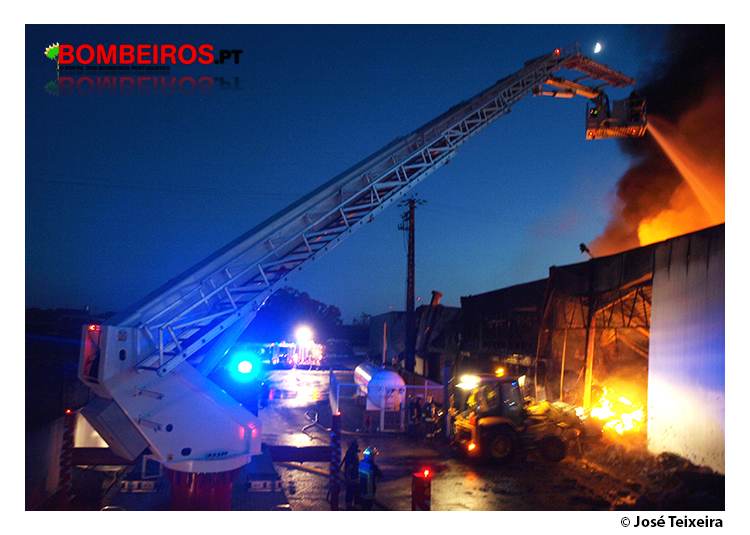 Imagem 11