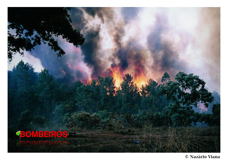 Imagem 14