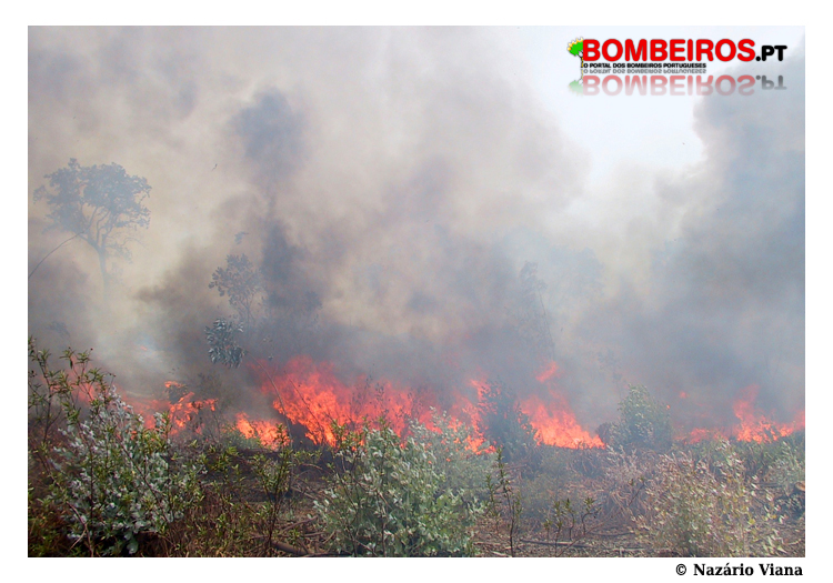 Imagem 02