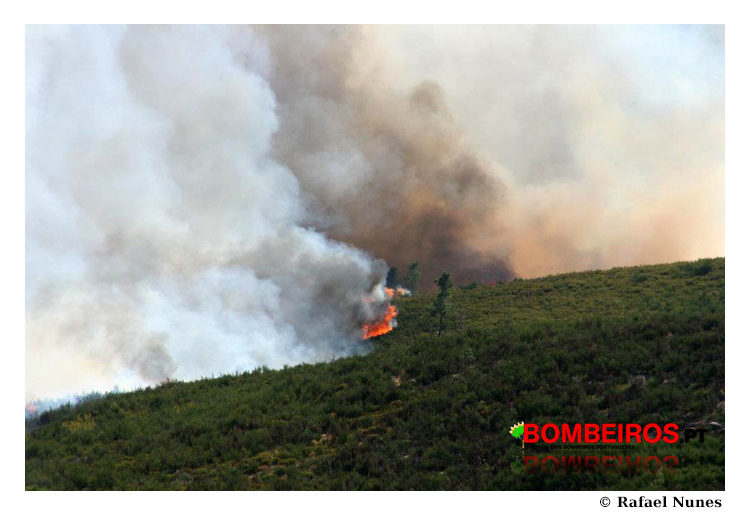 Imagem 36