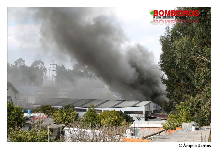 Imagem 19