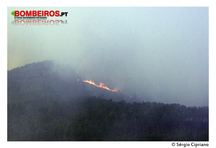 Imagem 06