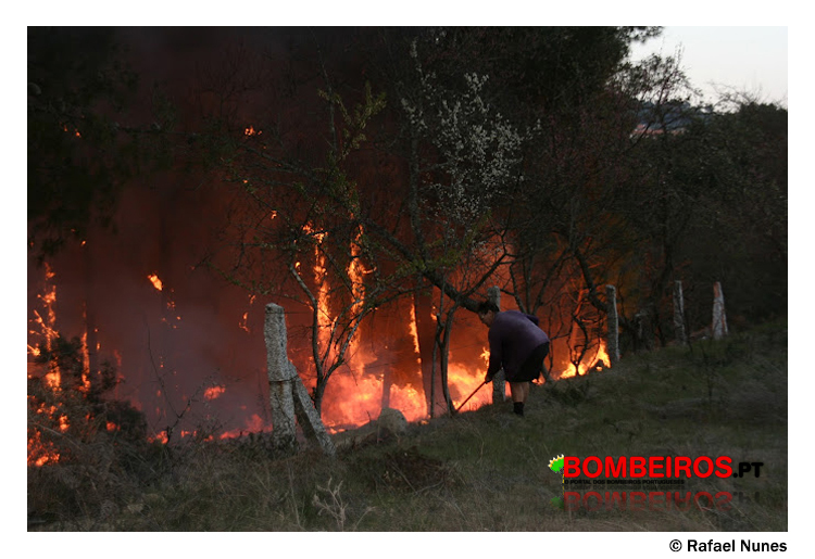 Imagem 94