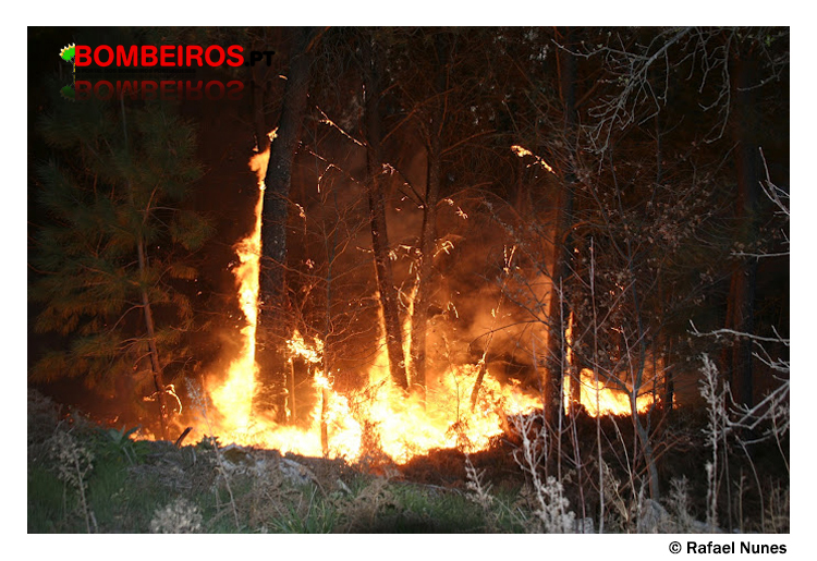 Imagem 96
