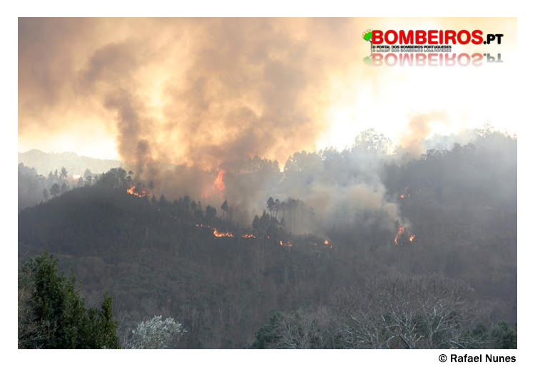Imagem 55