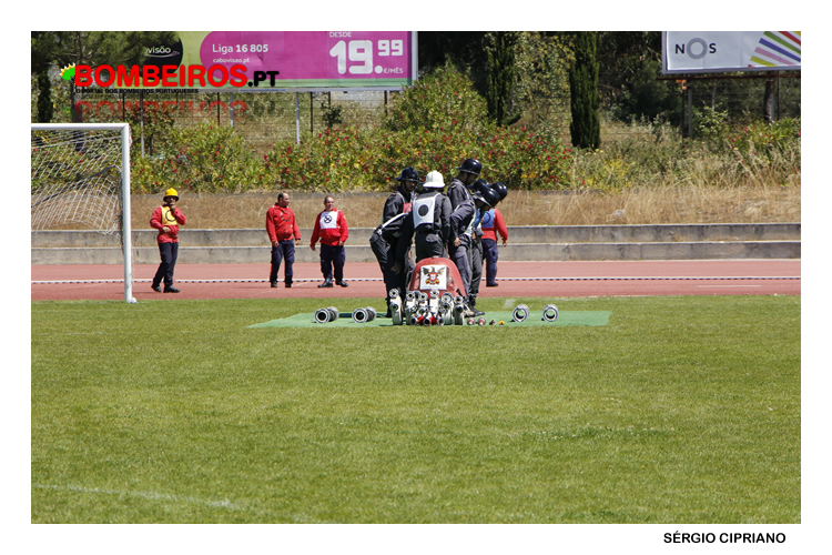 MG 7819