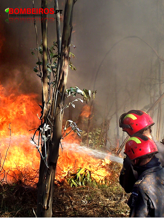 Oliveira Claro - Jóvem