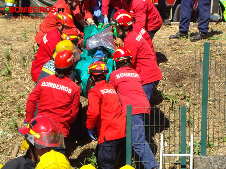 Pereira Paulo União