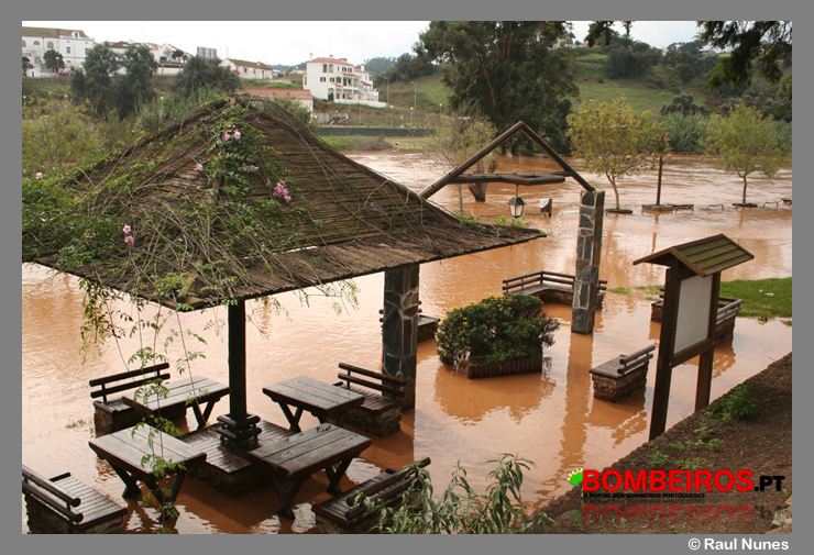 Imagem 11