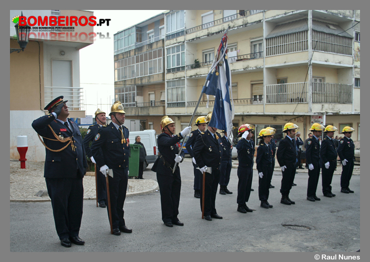 Imagem 11