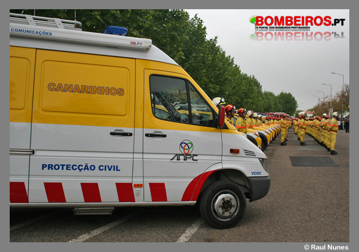 Imagem 06