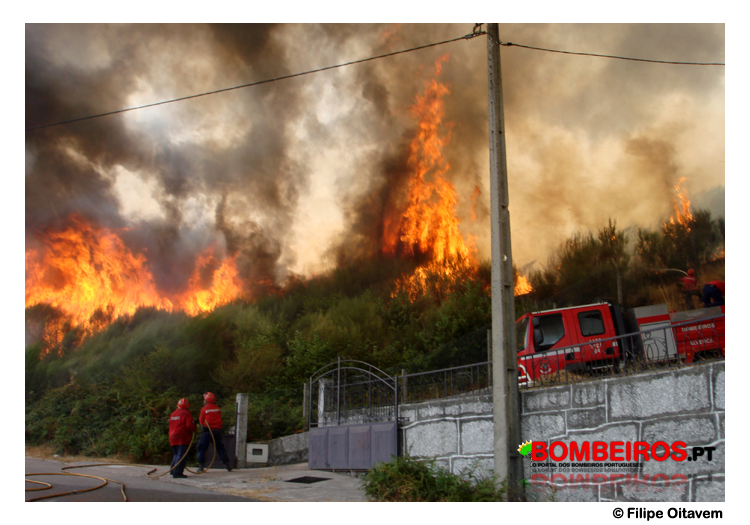 Imagem 16